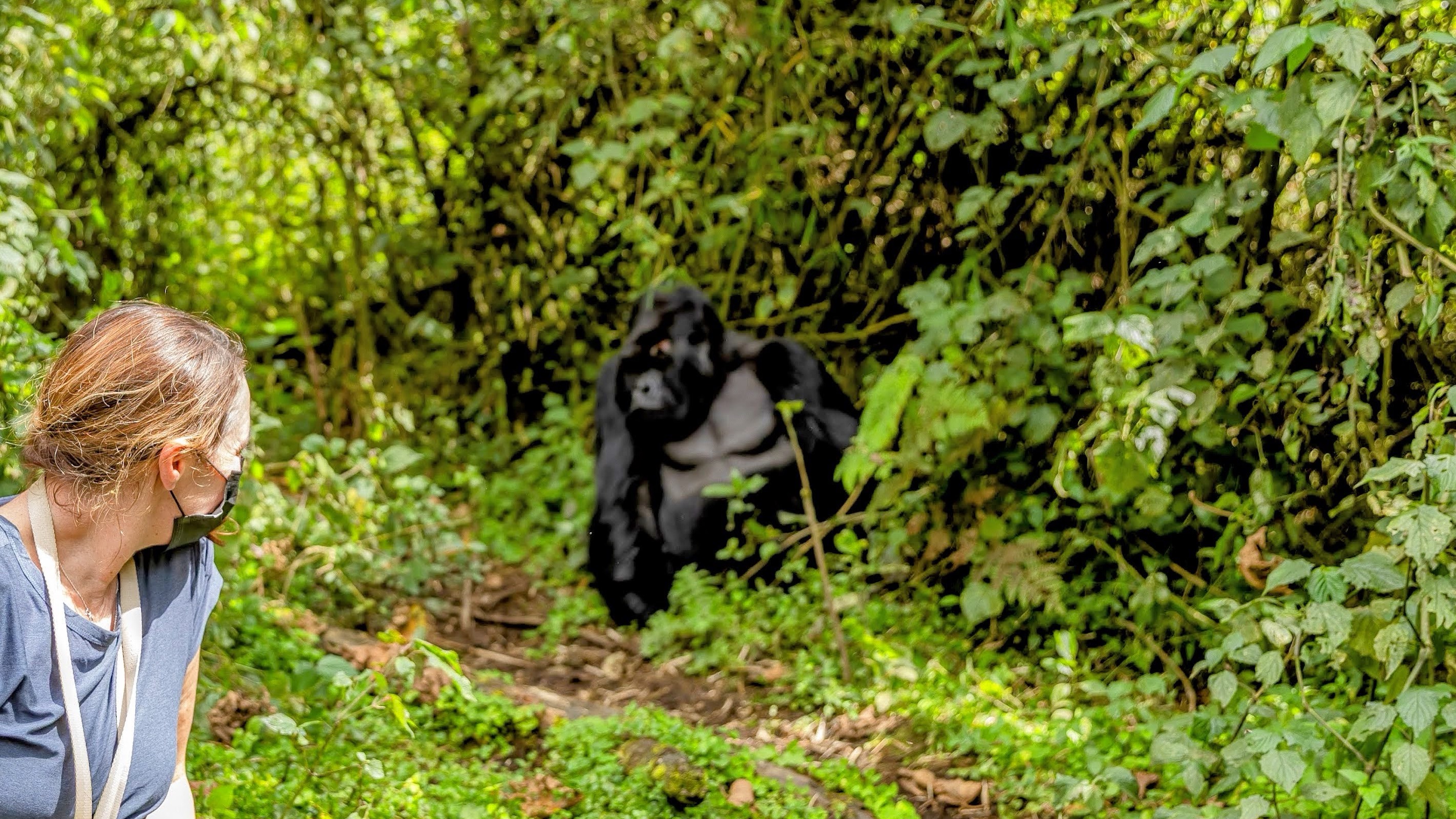 Inspire World Travel photo 3