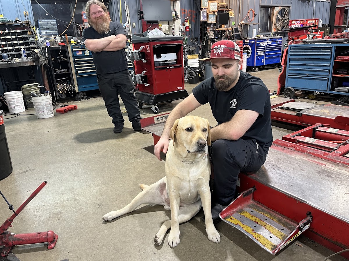 Japanese Motor Works Inc photo 5