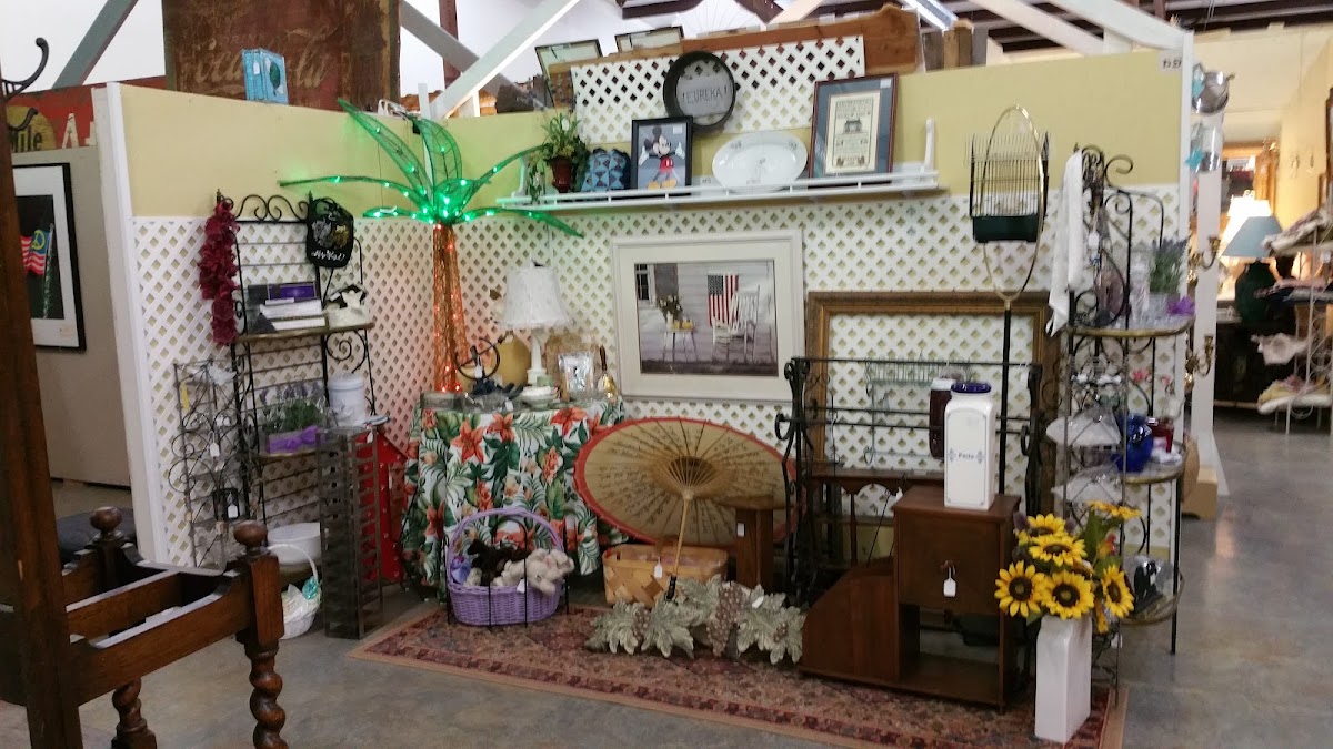 Junk In the Trunk in Downtown Athens, Athens, GA