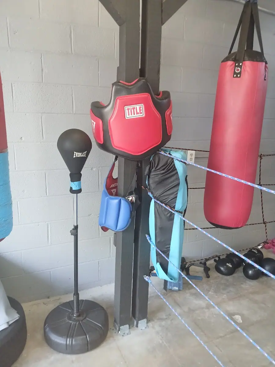 Koi Boxing and Fitness photo 5