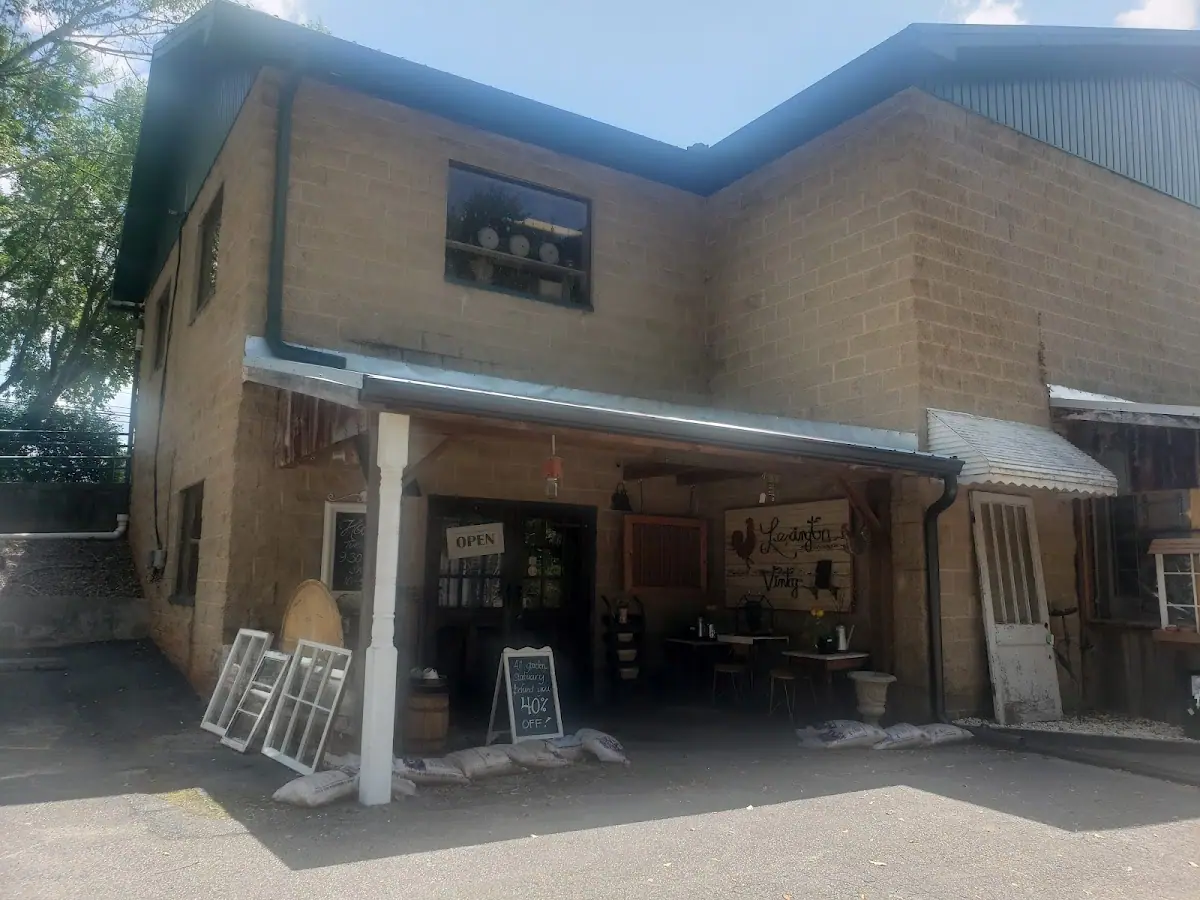 Lexington Vintage - Best Thrift Stores in Athens, GA