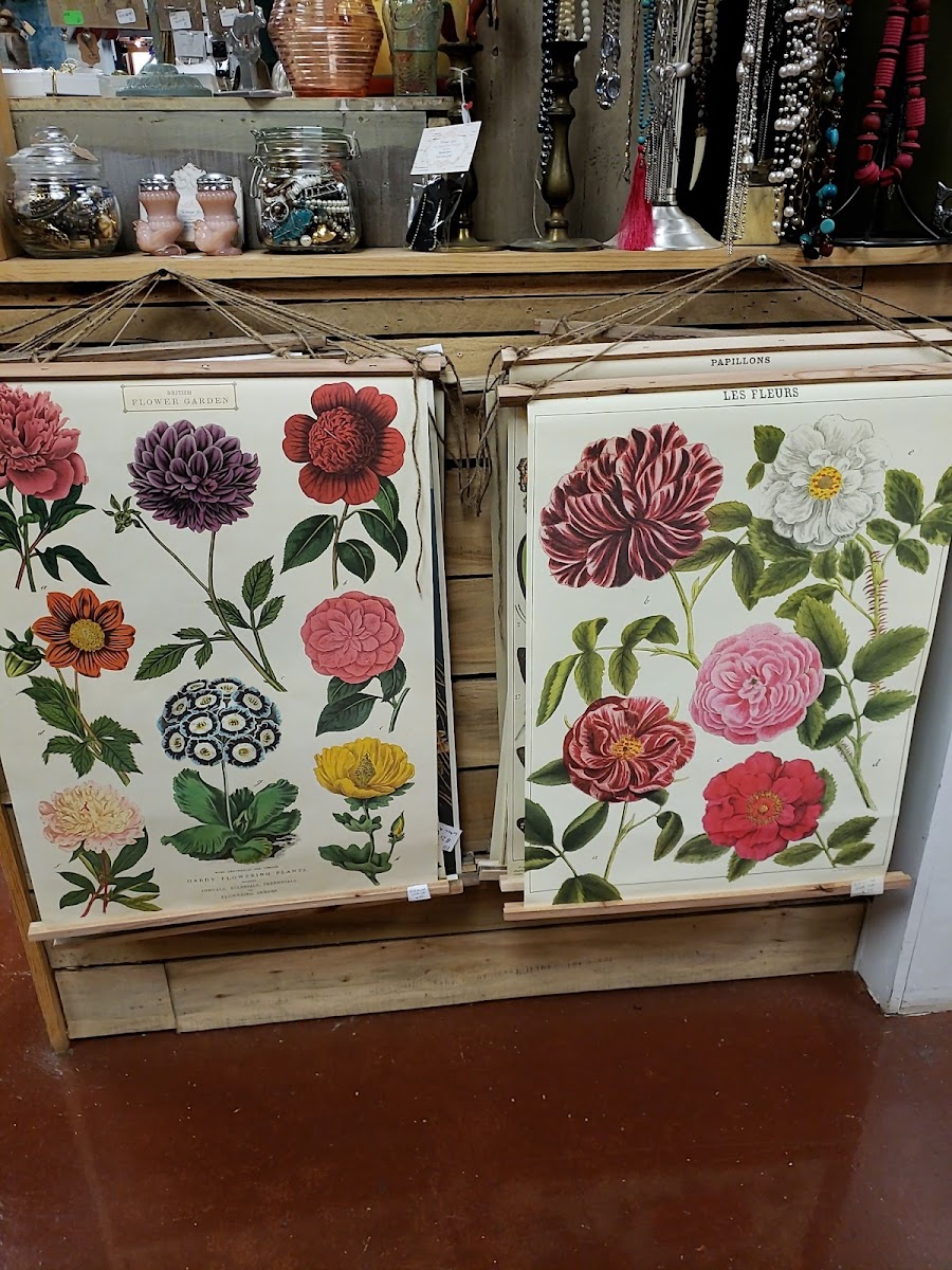 Lexington Vintage photo 4