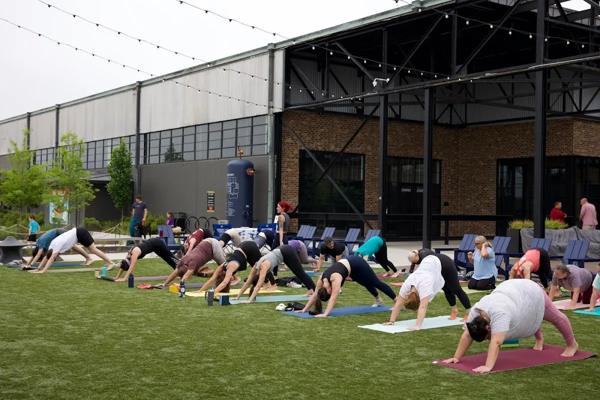 Lotus Yoga & Pilates photo 2