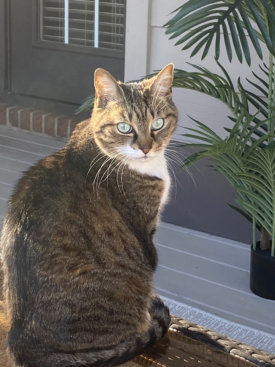 Mars Hill Animal Hospital photo 2