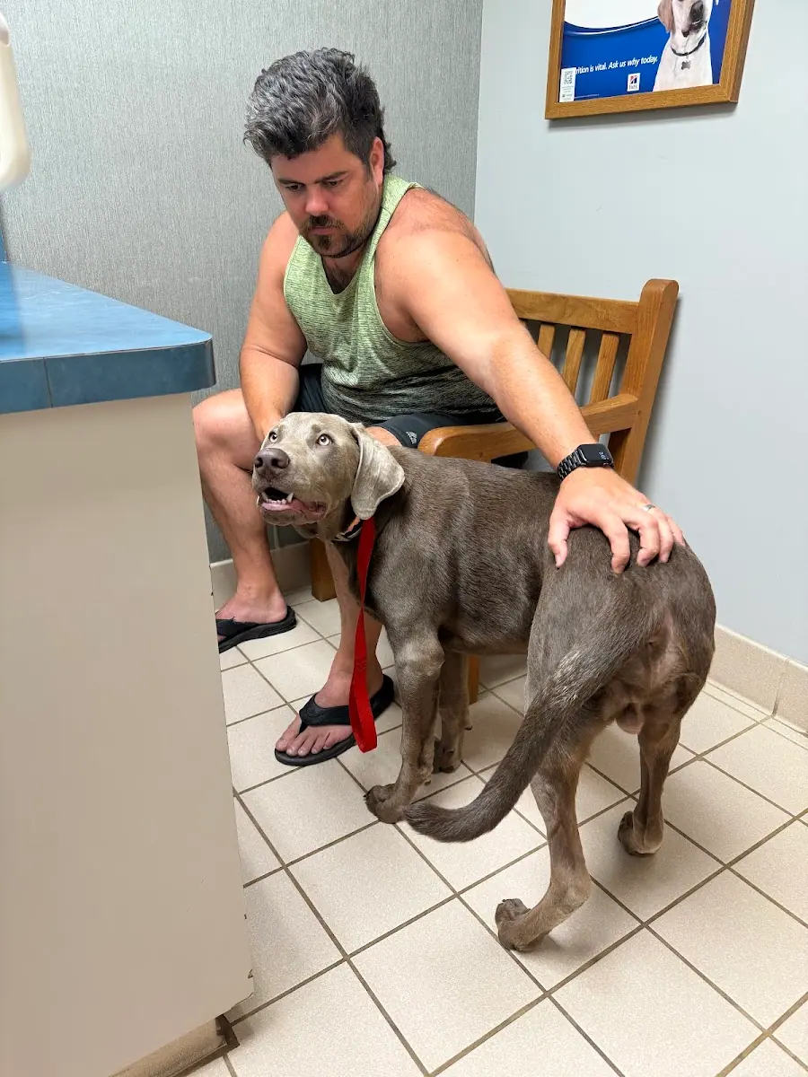 Mars Hill Animal Hospital photo 5