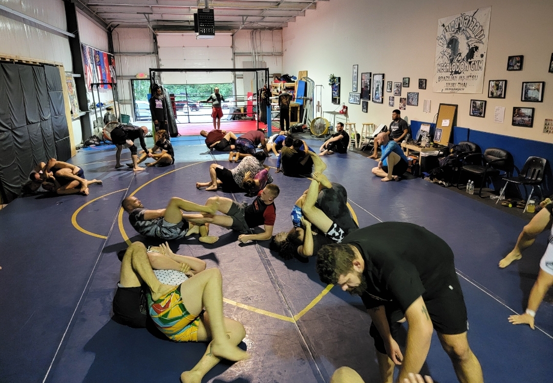 Megalodon gym - Fitness & Wellness in Athens, GA