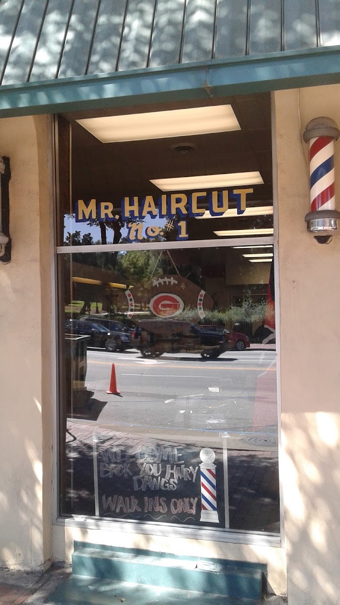 Mr. Haircut photo 2