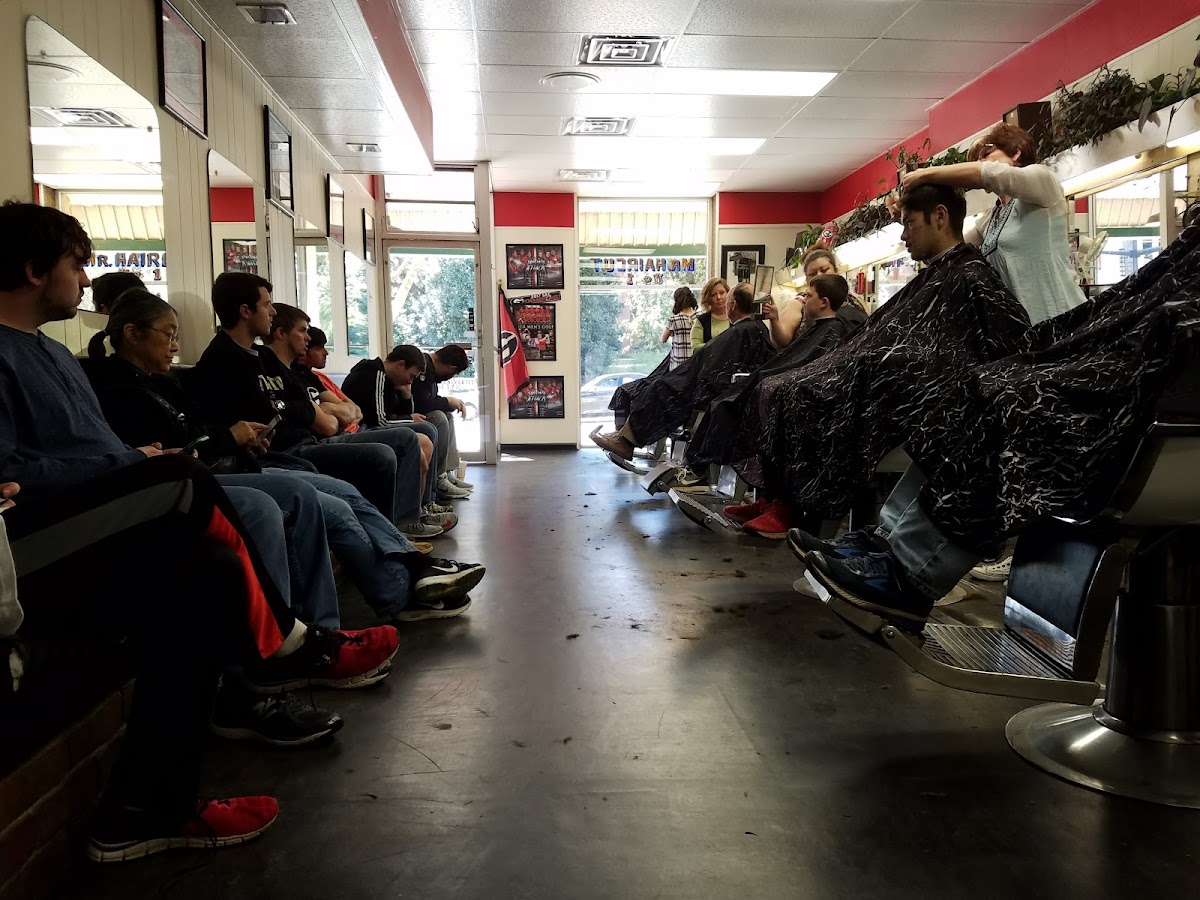 Mr. Haircut photo 4