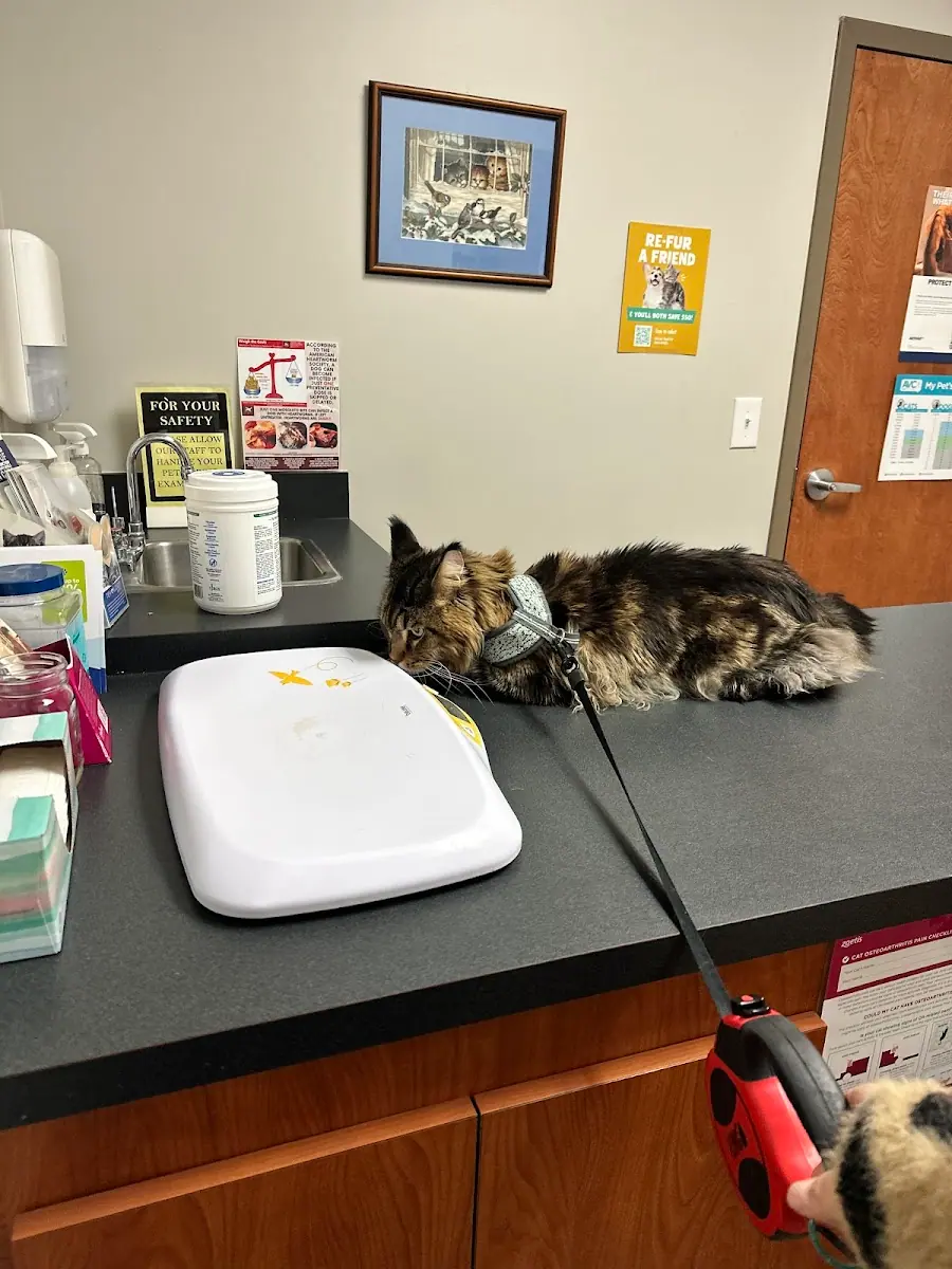 North Oconee Animal Hospital photo 2