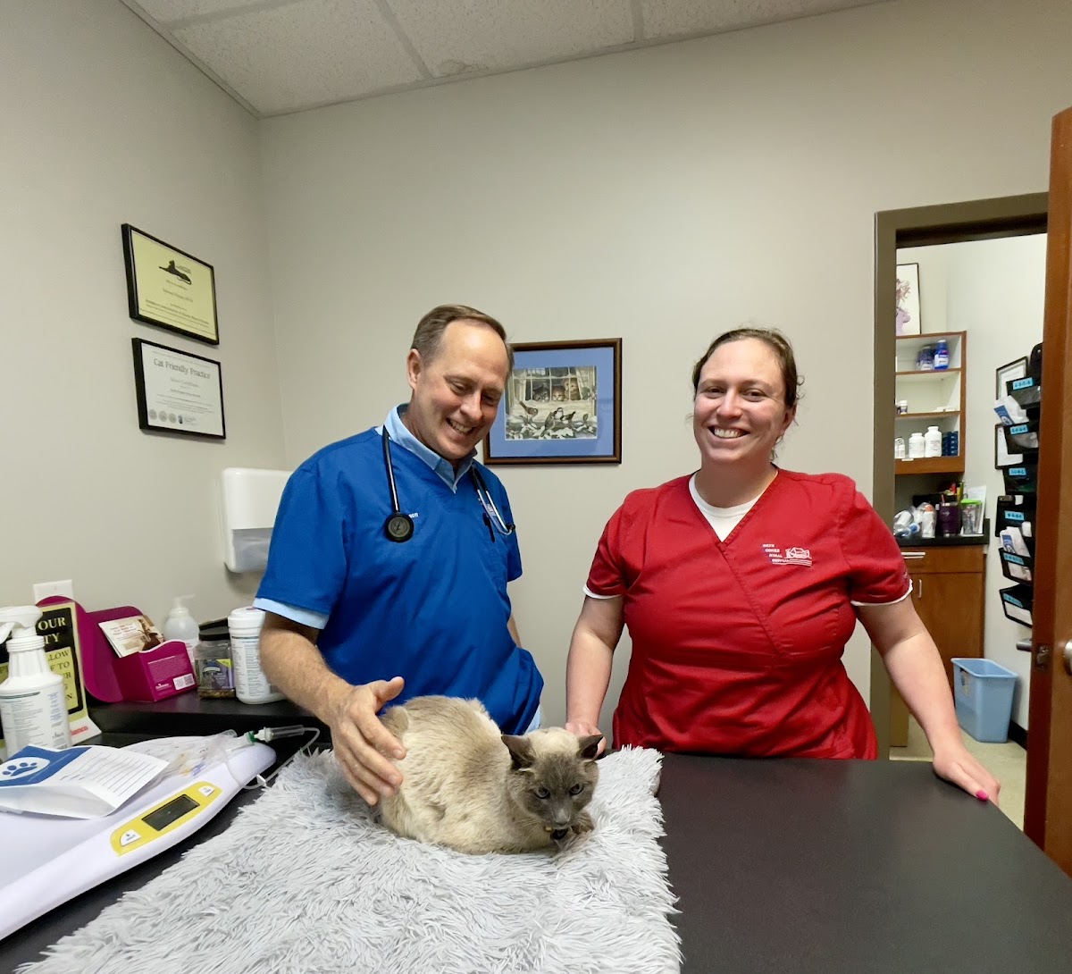 North Oconee Animal Hospital photo 4