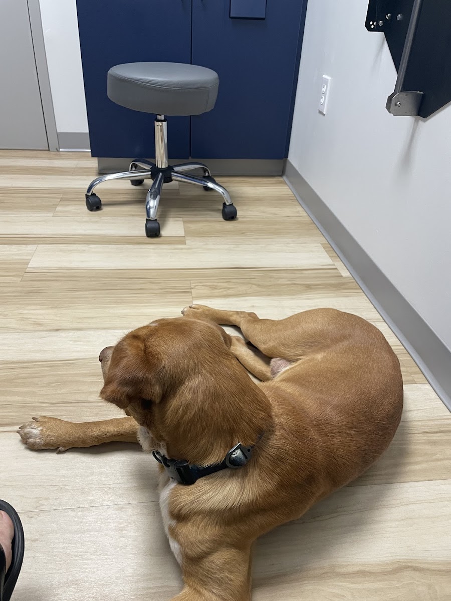 Oak Grove Animal Clinic photo 2