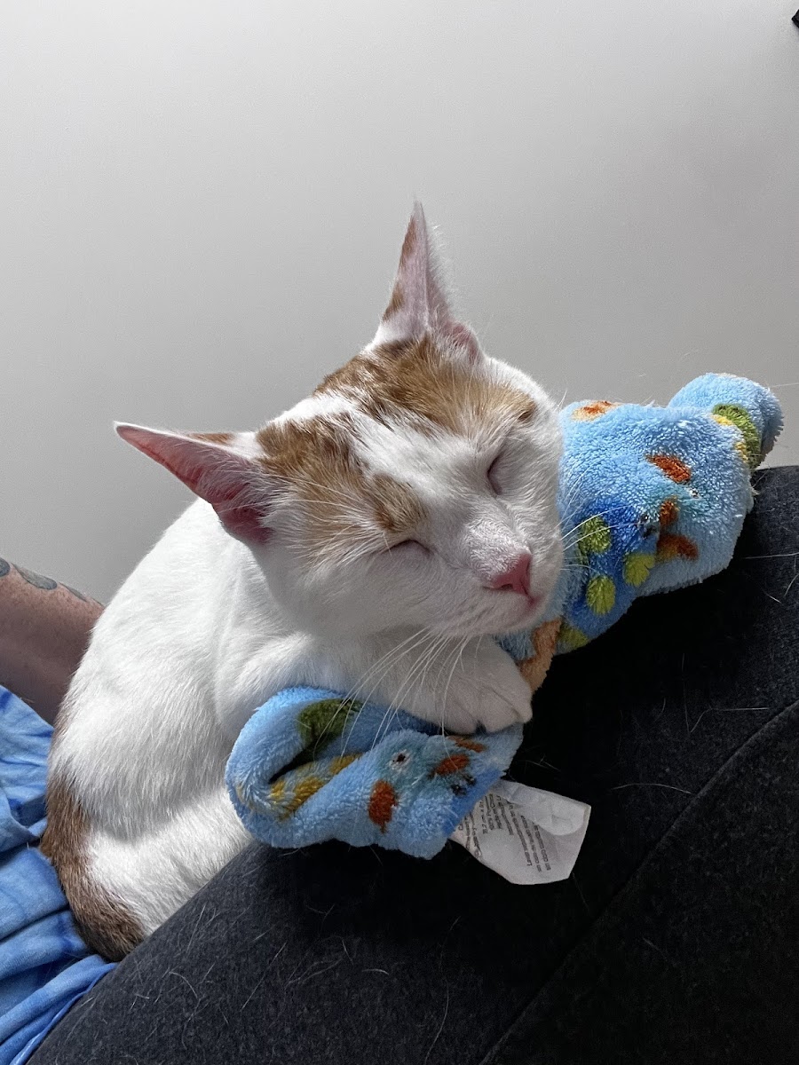 Oak Grove Animal Clinic photo 4