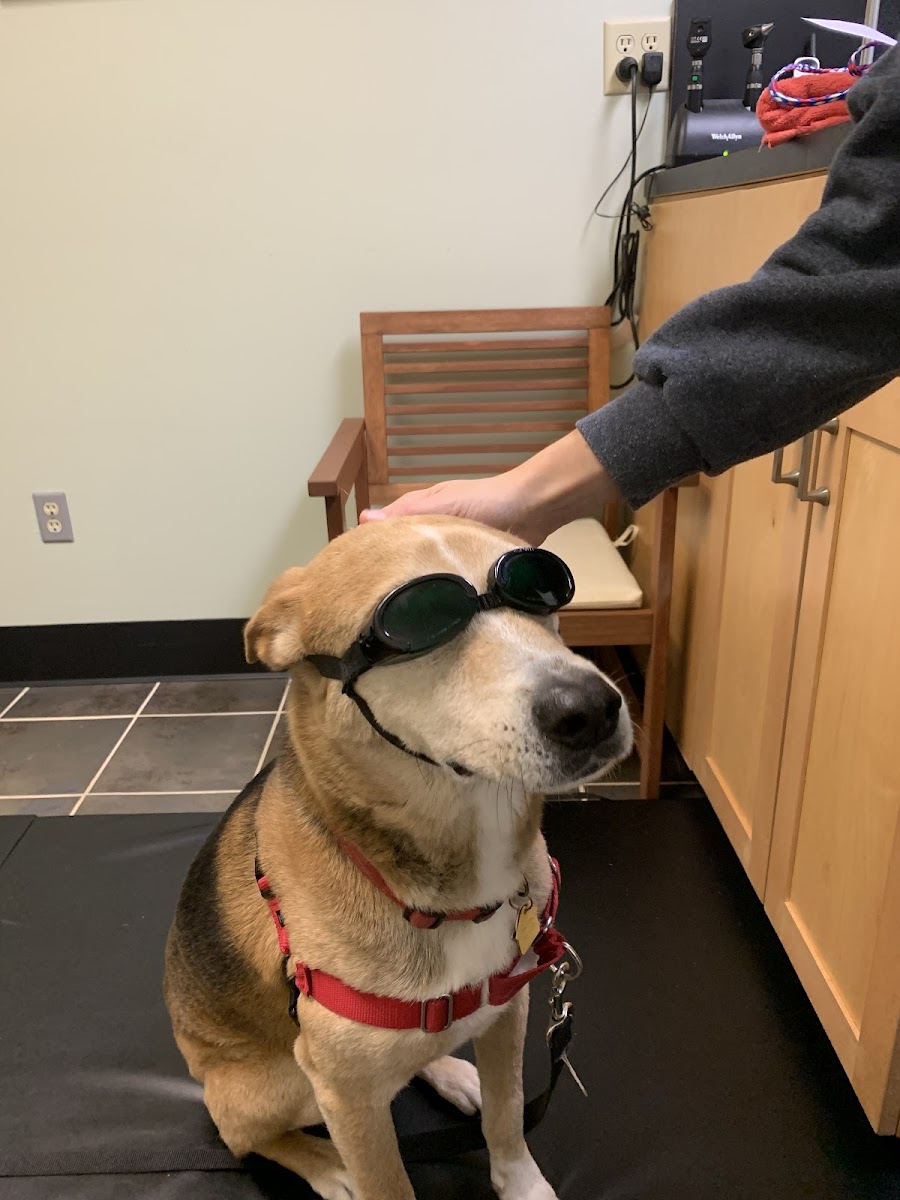 Oconee Veterinary Hospital photo 3