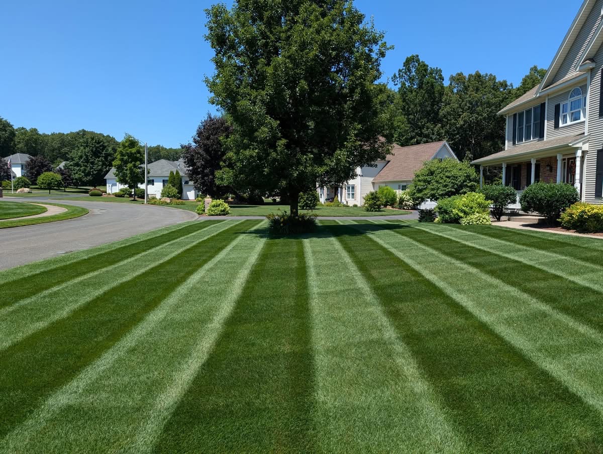 OnDemand Yard Services of Athens - Home Services in Athens, GA