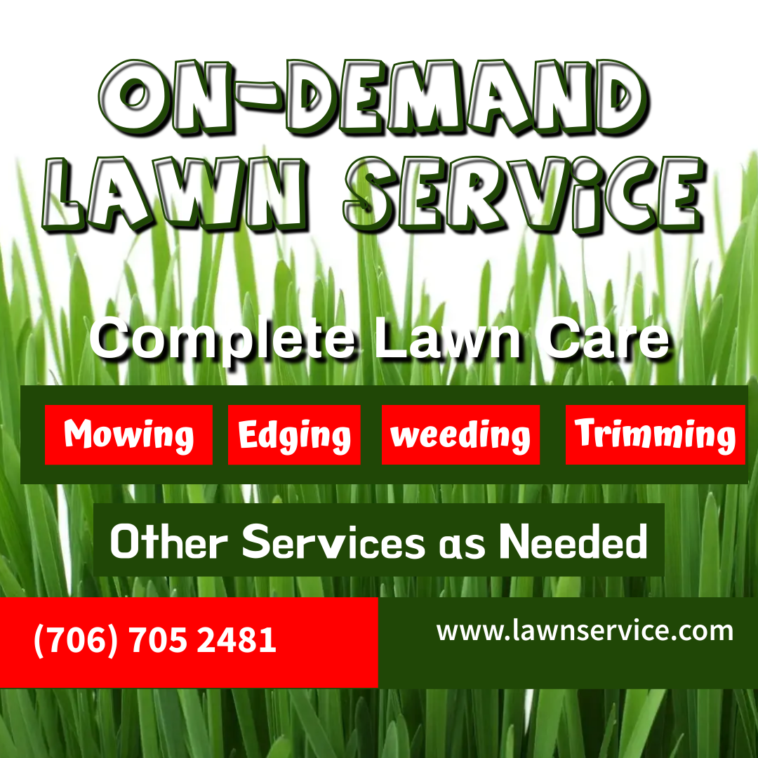 OnDemand Yard Services of Athens photo 3