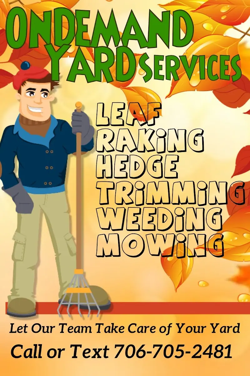 OnDemand Yard Services of Athens photo 5