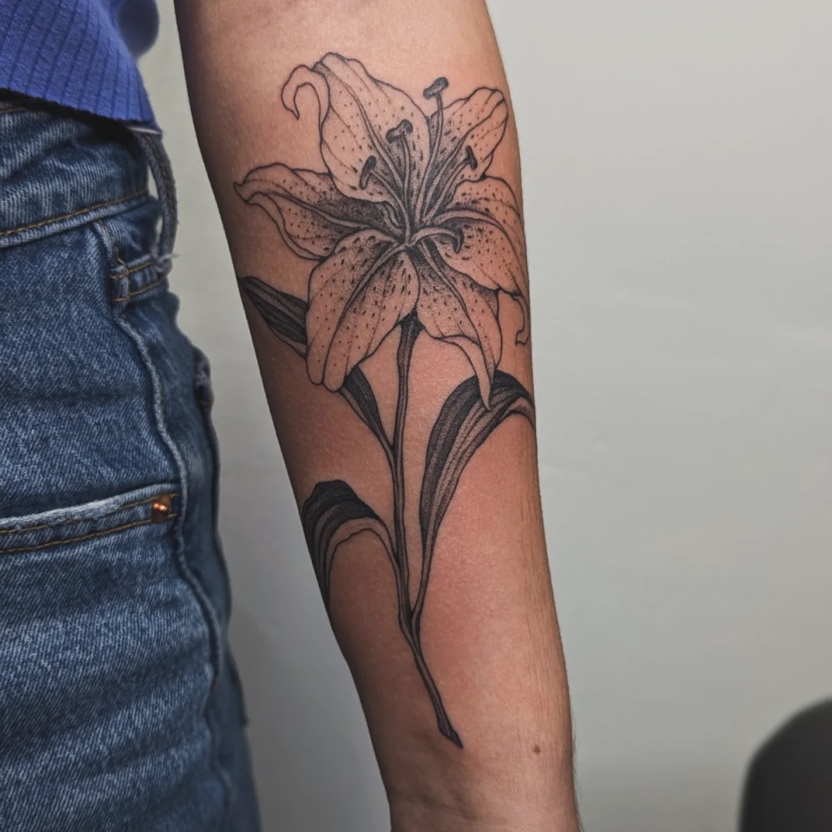 Pain and Wonder Tattoo and Piercing Studio in Downtown Athens, Athens, GA