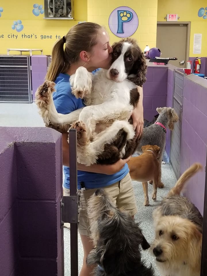 Pawtropolis West Athens photo 3