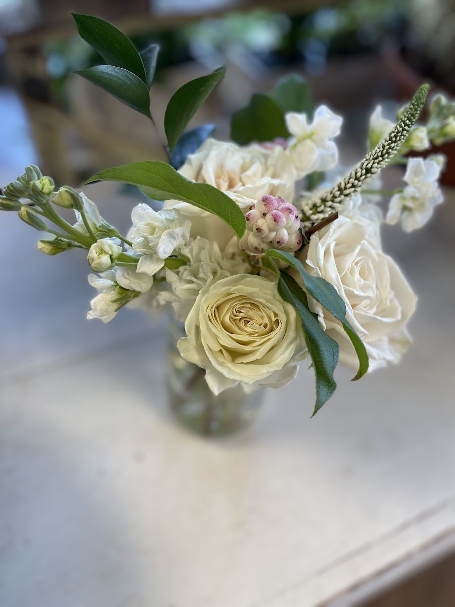 Perryander Studio photo 5