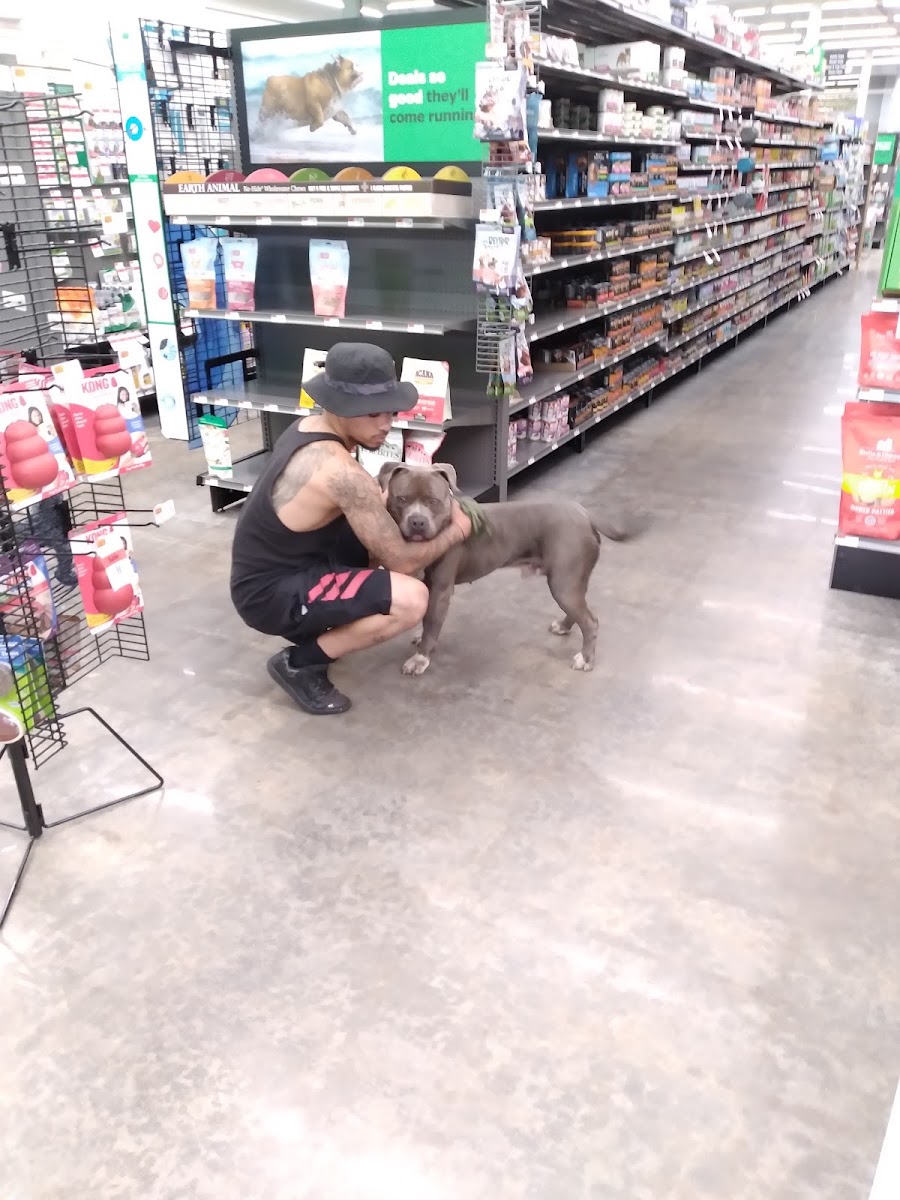 Pet Supplies Plus Athens photo 2