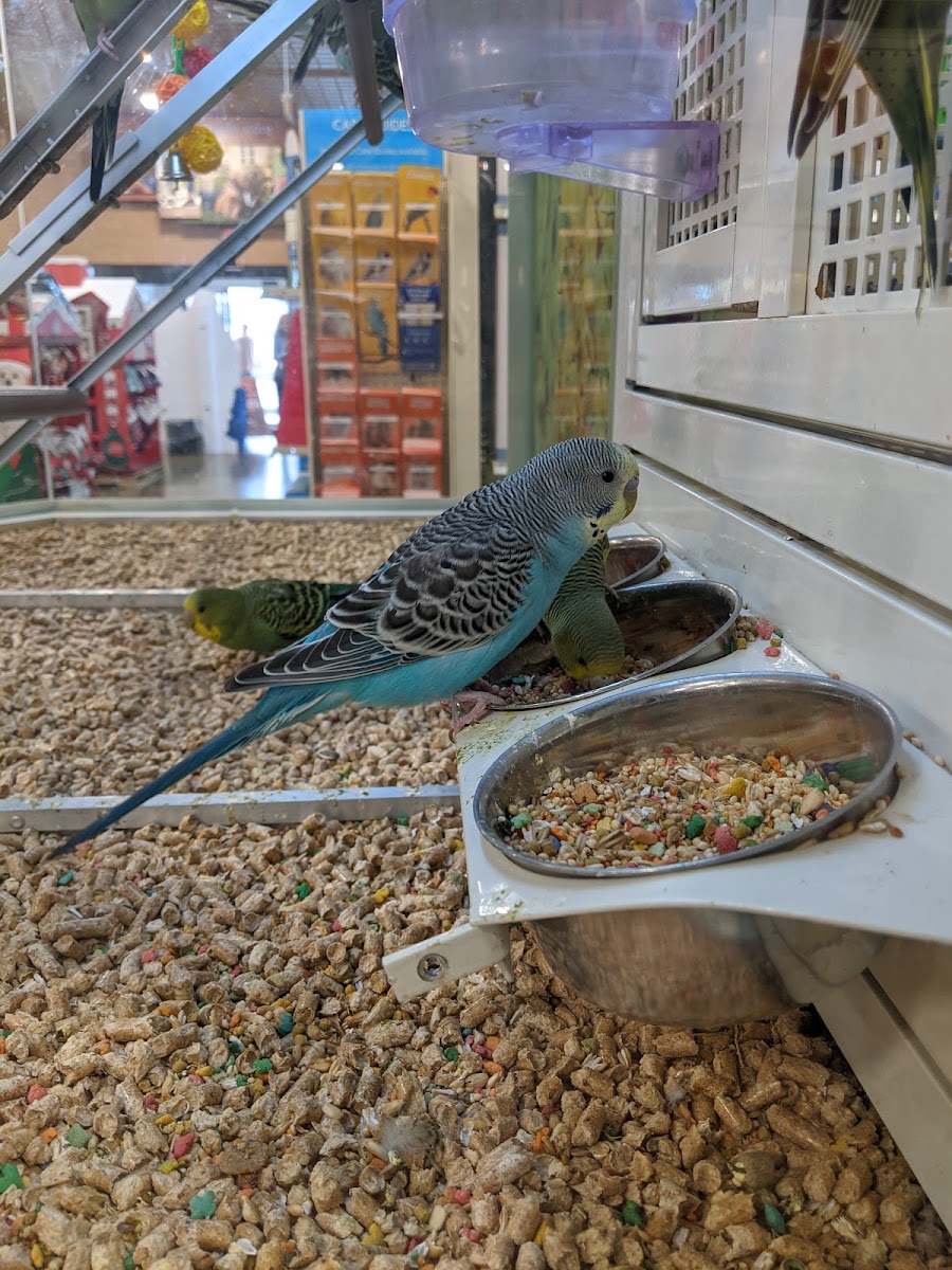 PetSmart photo 3
