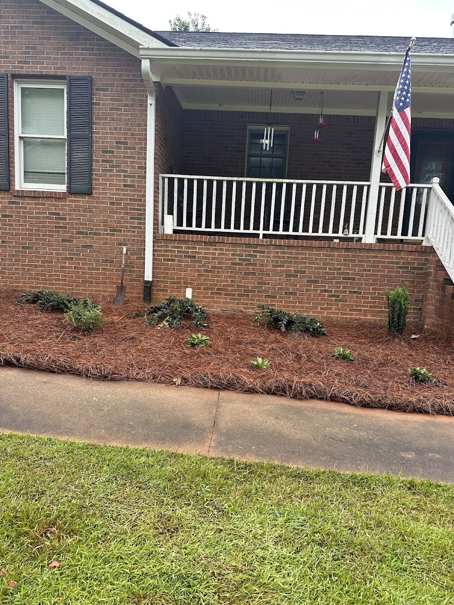 Precision Landscape Management photo 3