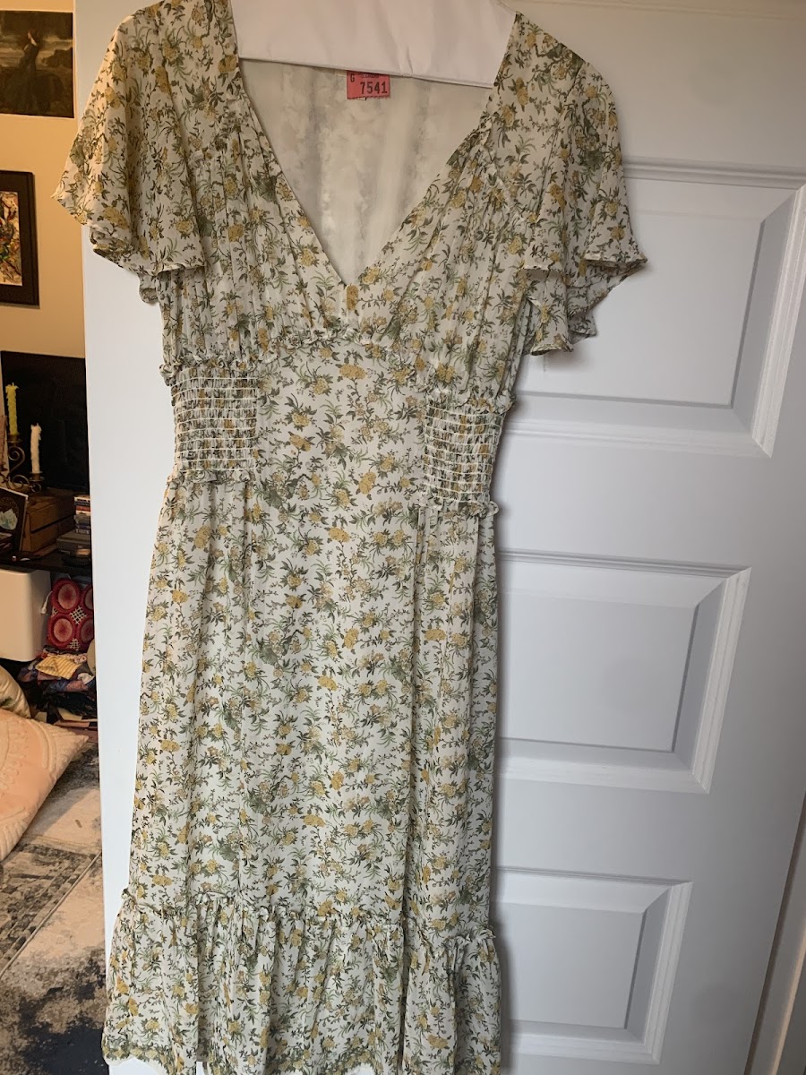 Professional Cleaners photo 3