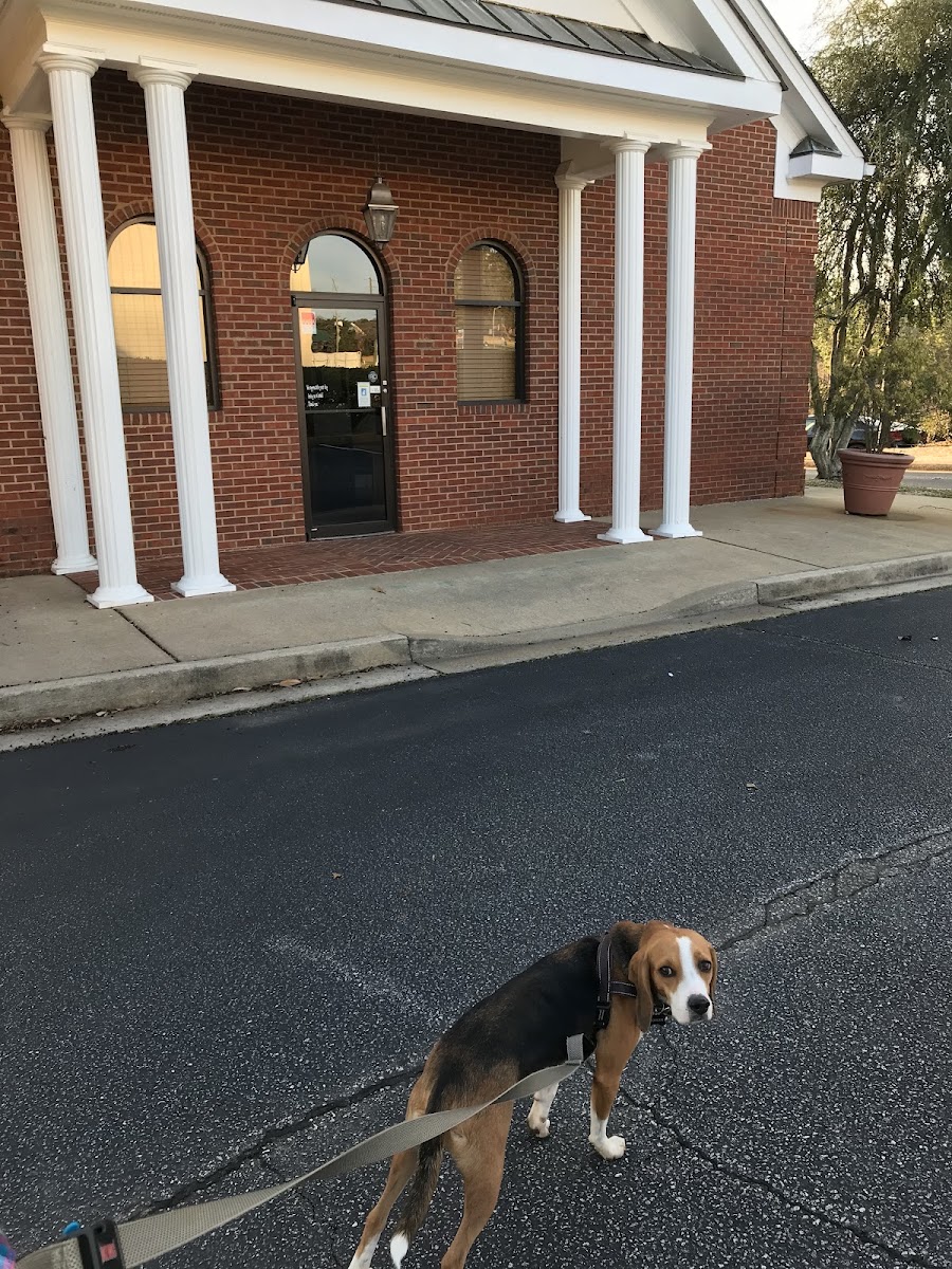 South Athens Animal Clinic - Veterinary & Pets in Eastside Athens, Athens, GA