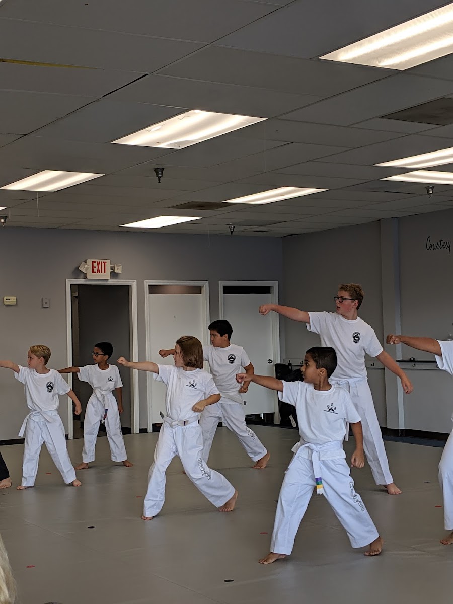 Spark Martial Arts photo 3