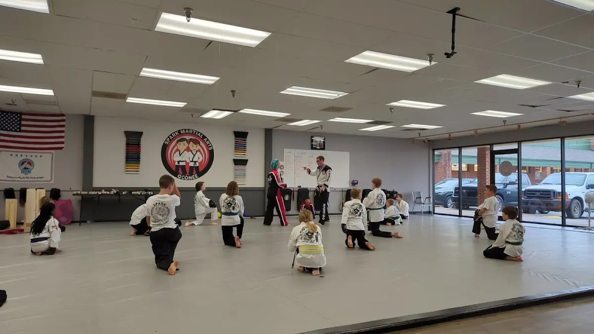 Spark Martial Arts photo 5