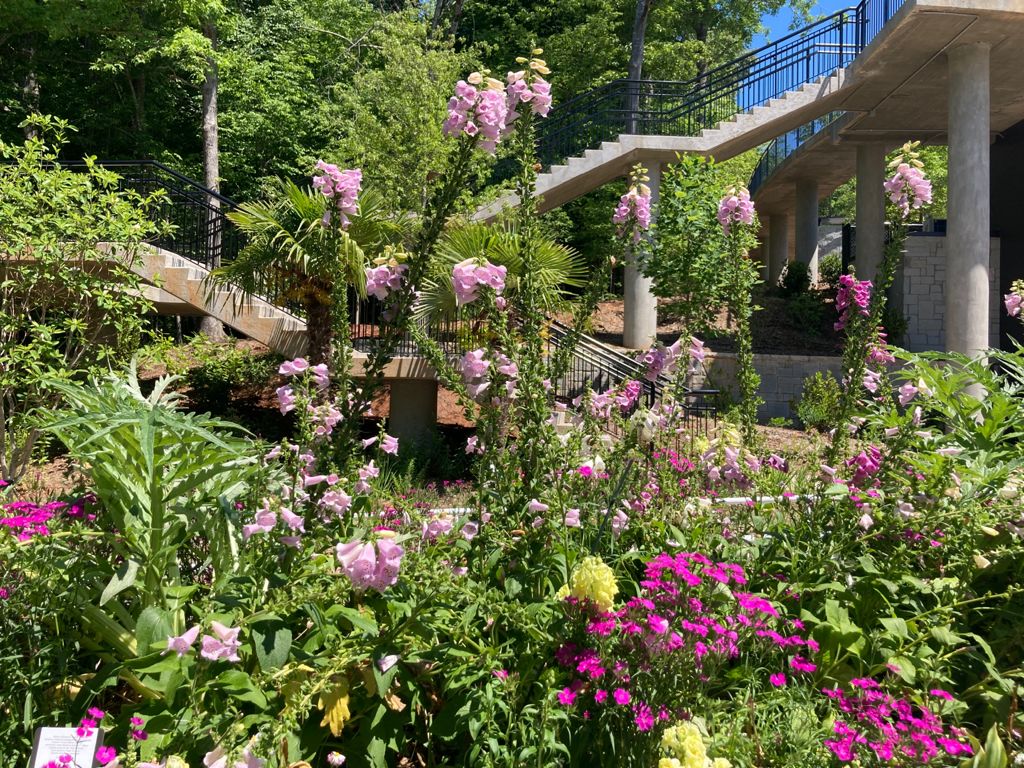 State Botanical Garden of Georgia Gift Shop photo 3