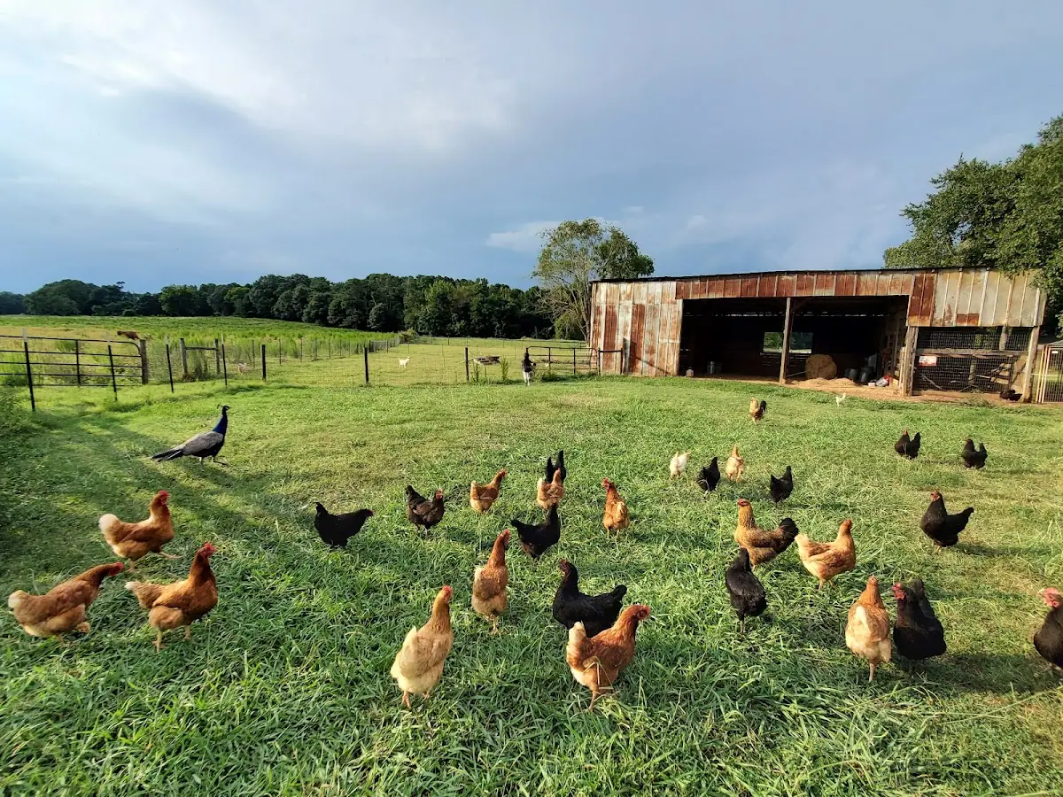 The Farmhouse Inn photo 5