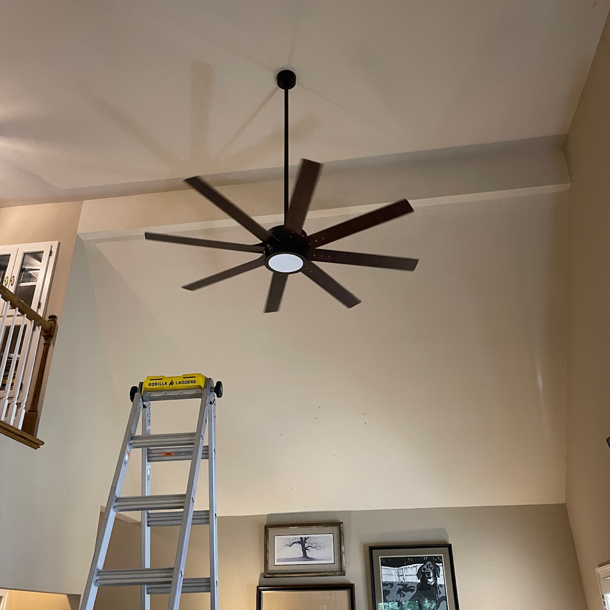 The Flash Electric photo 4