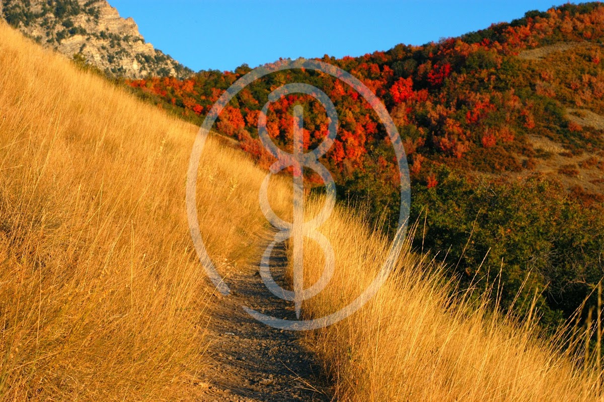 Thrive Integrative Medicine - Healthcare in Athens, GA
