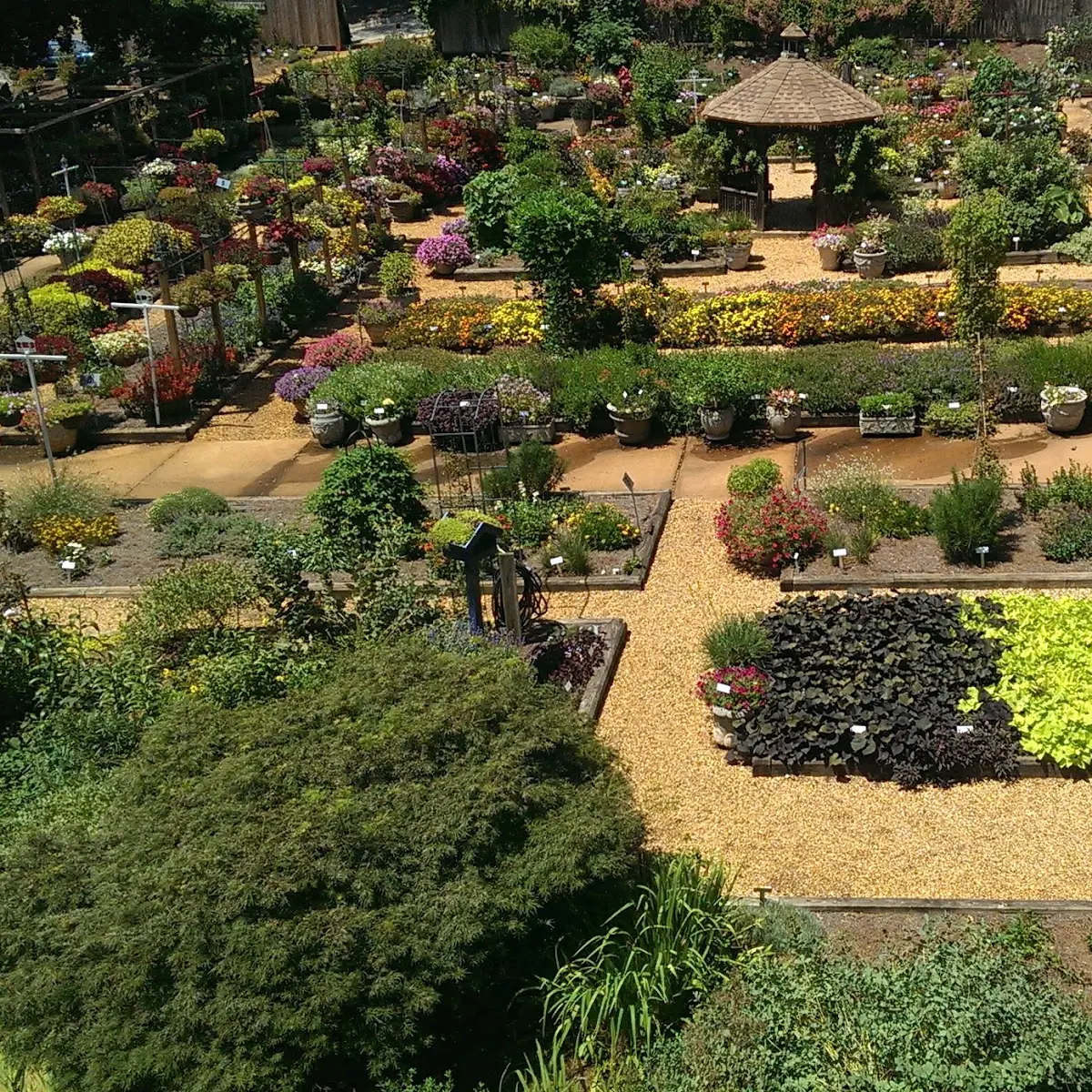 Trial Gardens in Athens, GA
