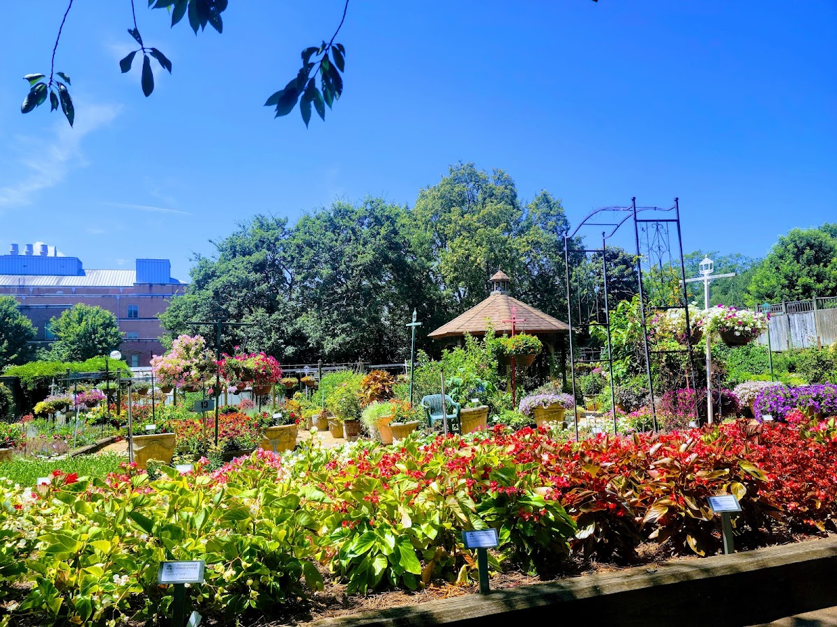 Trial Gardens photo 2