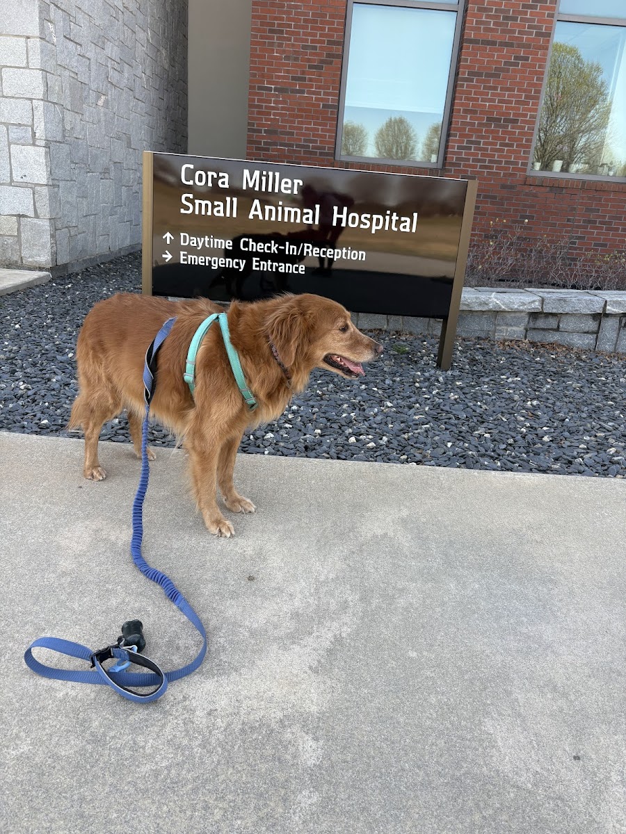 UGA Veterinary Teaching Hospital in Downtown Athens, Athens, GA