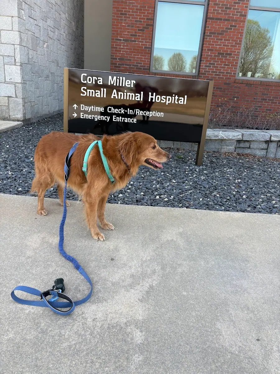 UGA Veterinary Teaching Hospital in Athens, GA