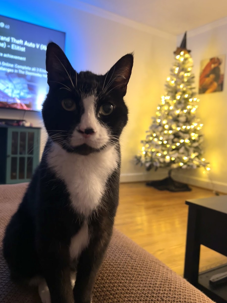 UGA Veterinary Teaching Hospital photo 2