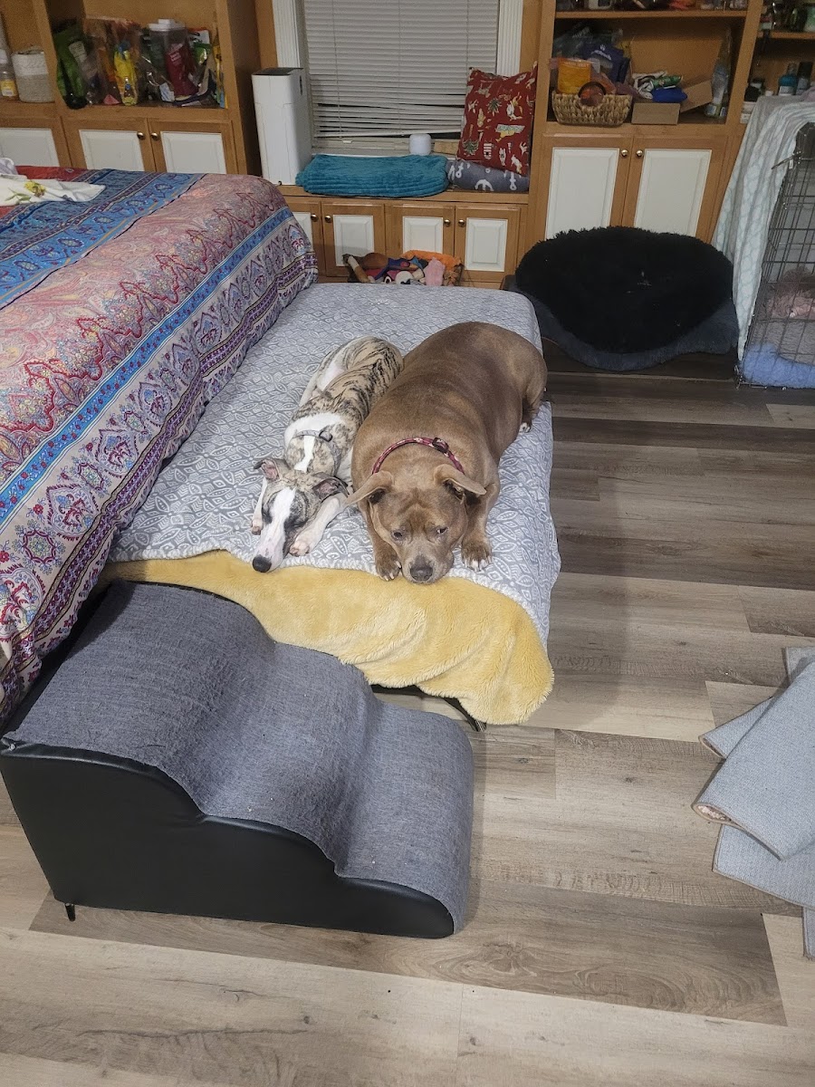 UGA Veterinary Teaching Hospital photo 5