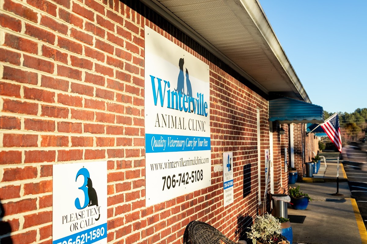 Winterville Animal Clinic photo 2