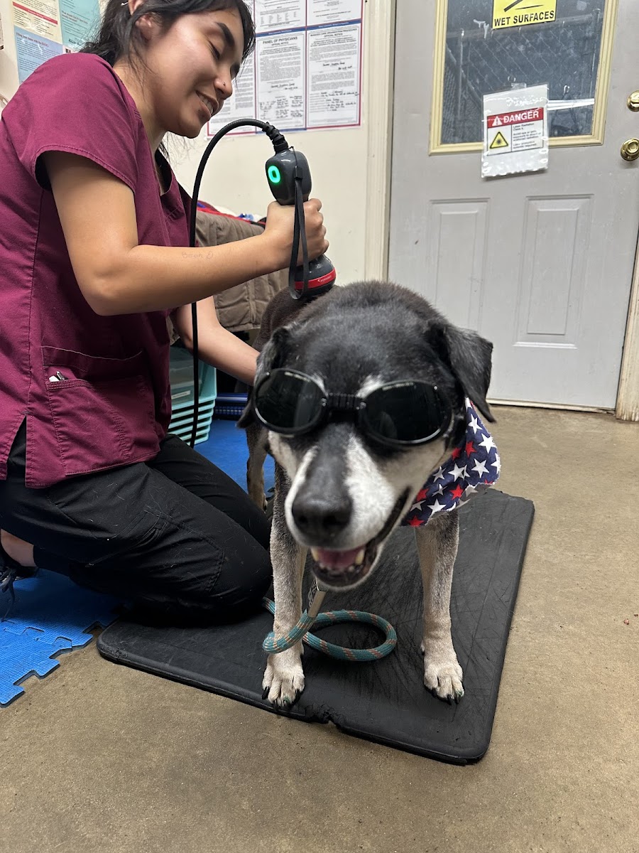 Winterville Animal Clinic photo 3