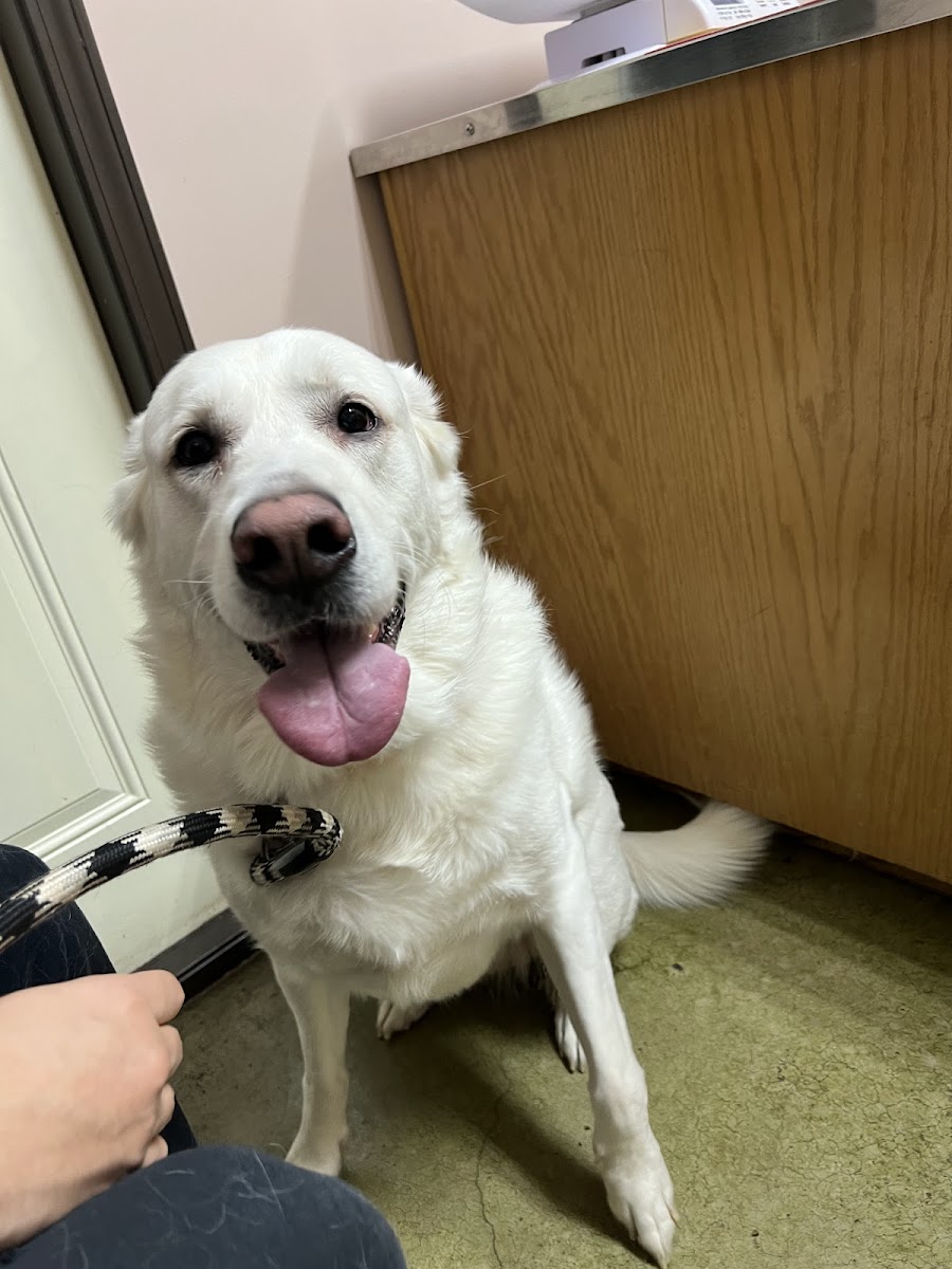 Winterville Animal Clinic photo 5