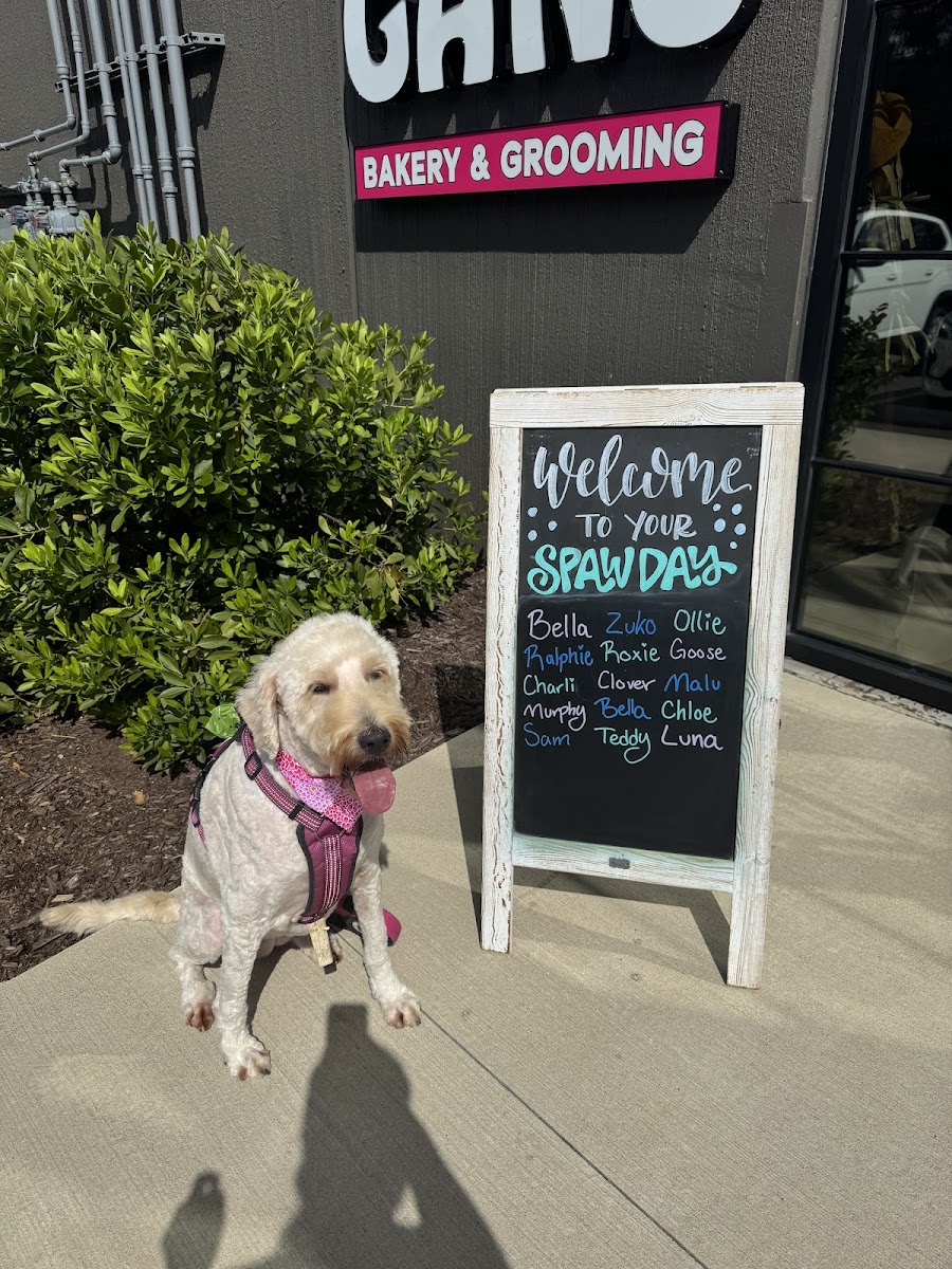Woof Gang Bakery & Grooming Watkinsville - Retail & Shopping in Athens, GA