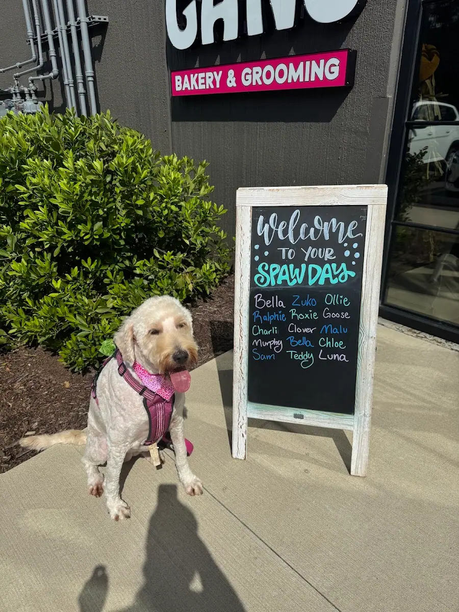 Woof Gang Bakery & Grooming Watkinsville in Athens, GA