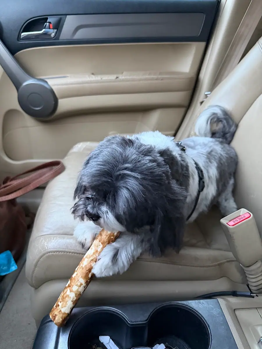 Woof Gang Bakery & Grooming Watkinsville photo 5